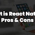 What is React Native? Brief Overview about the framework and its Pros & Cons