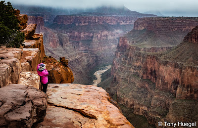 Woman taking photo of Grand Canyon at Toroweap Point, Arizona
