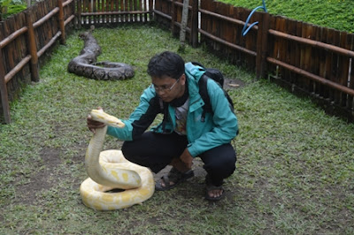 AGROWISATA BUMI MERAPI KALIURANG - WISATA EDUKASI UNTUK KELUARGA