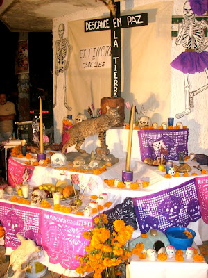 day of the dead mexico altar. An altar for the animals.