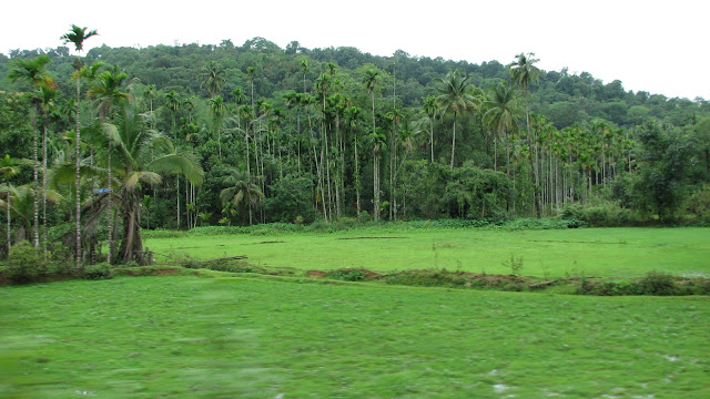  In spite of some heavy showers during  this stretch the lights on the route in addition to the overal IndiaTravel; Monsoon Road Trip of Western Ghats - 2013