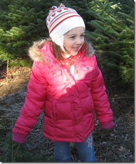 Christmas tree 029