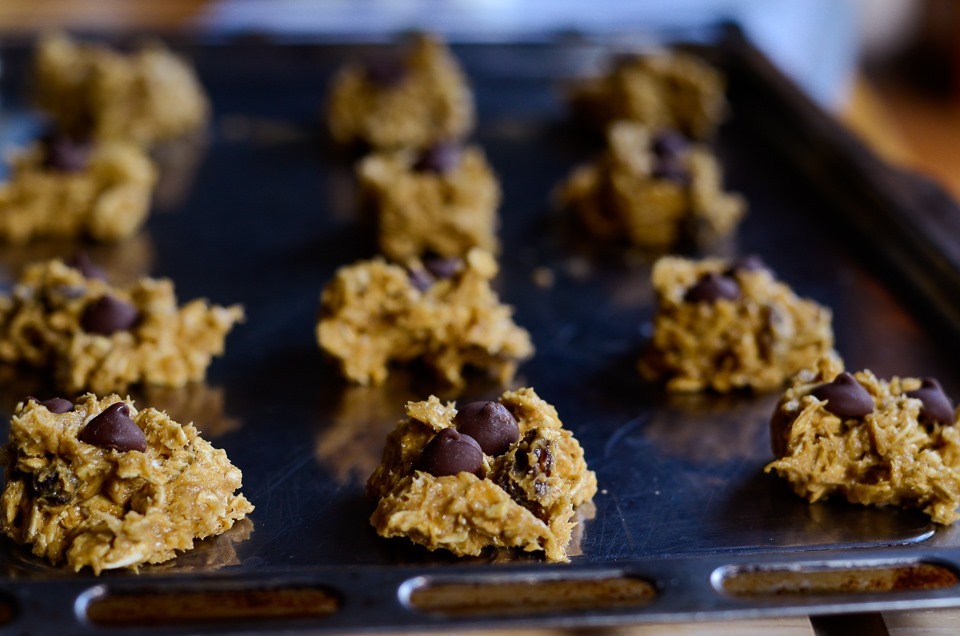 oatmeal gluten free cookies-12812