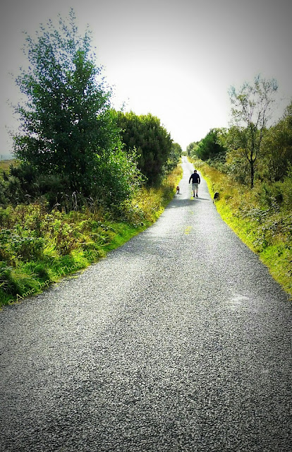 man walking with boxer dogs on a countryside road