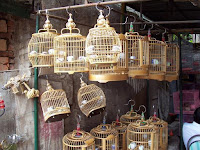 Chinese Bird Cages