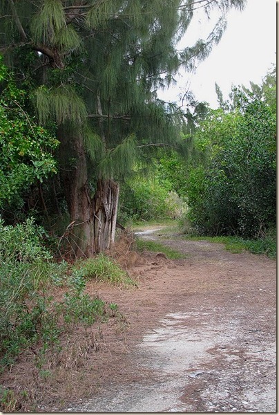 lagoon12_zps017f3667[1]