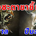 5 นักษัตรแห่งปีโชคลาภ ชีวิตหลังจากนี้ ชะตาจะดีมาก จนถึงปี 6 4 เงินตุงกระเป๋า