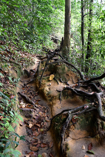 Indahnya Kanching Rainforest Waterfall Kuala Lumpur