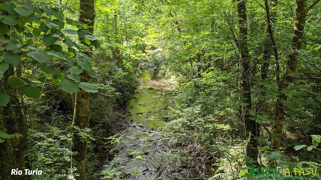 Río Turía, Taramundi