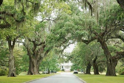 South Carolina Wedding Venues on Wedding   Charleston  Myrtle Beach   Hilton Head S Favorite Wedding