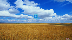 VirtualBox_Windows XP_18_09_2017_18_46_33