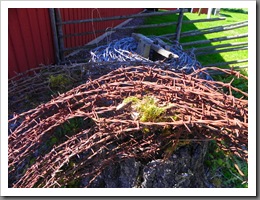 våren 12 002