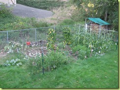 garden round 2 16