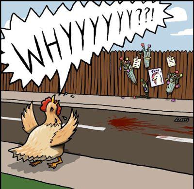 Why Did The Chicken Cross The Road Silly Bunt