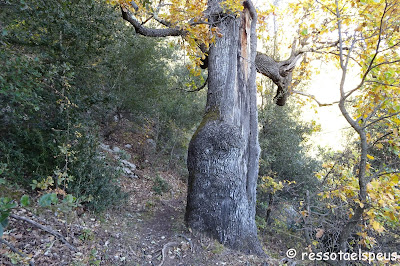 El Talló i el puig d'Ou