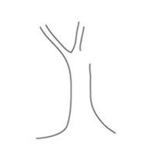 How To Draw Tree With Branches And Leaves Easy