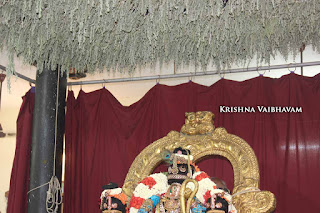 Sri Narasimha Swamy, Dhavana Utsavam, Theliya Singar, Azhaiya Singar,Thirumanjanam, Purappadu,  Triplicane,  Purappadu, Thiruvallikeni, Utsavam