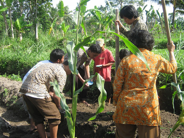 Kegiatan Bercocok Tanam