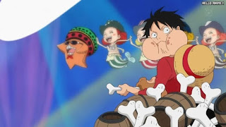 ワンピースアニメ 魚人島編 569話 パッパグ ルフィ Monkey D. Luffy | ONE PIECE Episode 569