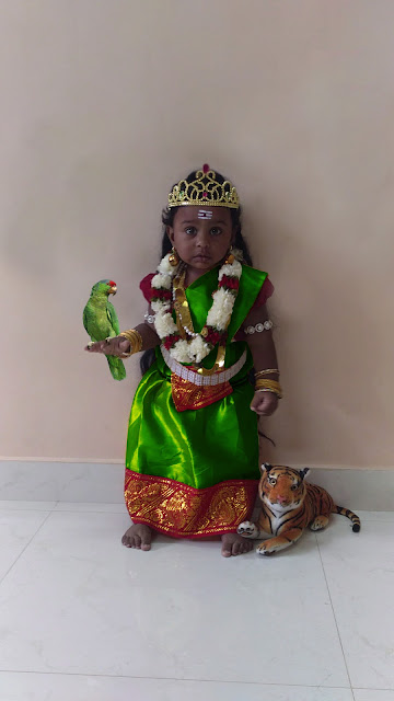 Madurai Meenakshi Amman Fancy Dress Costume for Kids