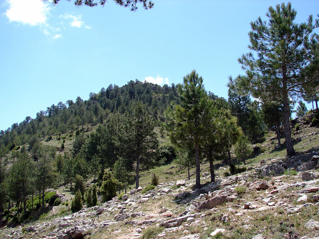 Senderismo - Argaret - Coscollosa - Gubies Capatx - Pas de Romeret - Parrisal