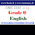 Grade 6 - English - Unit Test(1-11)