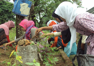 ANAK ASUH BAZMA LOMBA MENANAM TANAMAN HIAS DAN OBAT-OBATAN