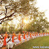 โครงการบรรพชาอุปสมบทธรรมทายาทนานาชาติ (รุ่นพิเศษ)