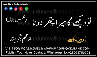 Tu Dekhy Ga Mera Pathar Hona by Fajar Maitla Novel