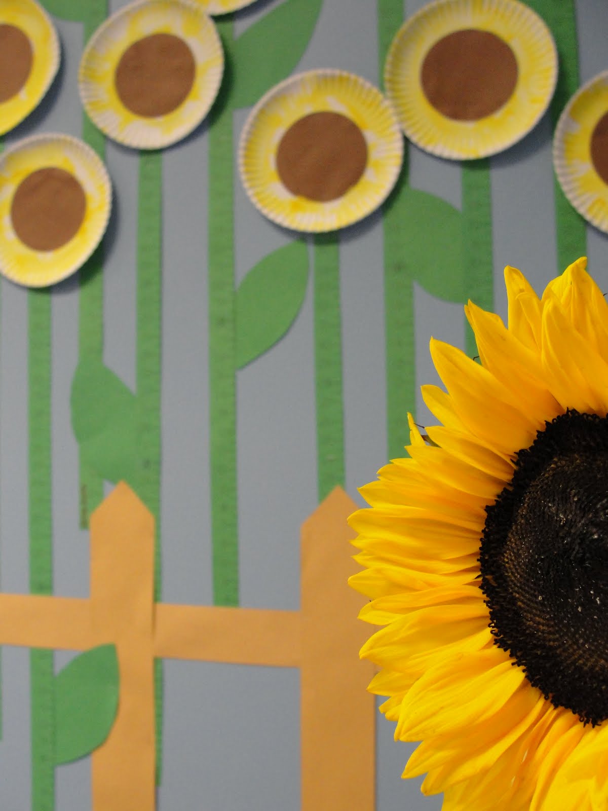 School Decoration Ideas | Dream House Experience