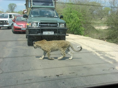 kruger south africa