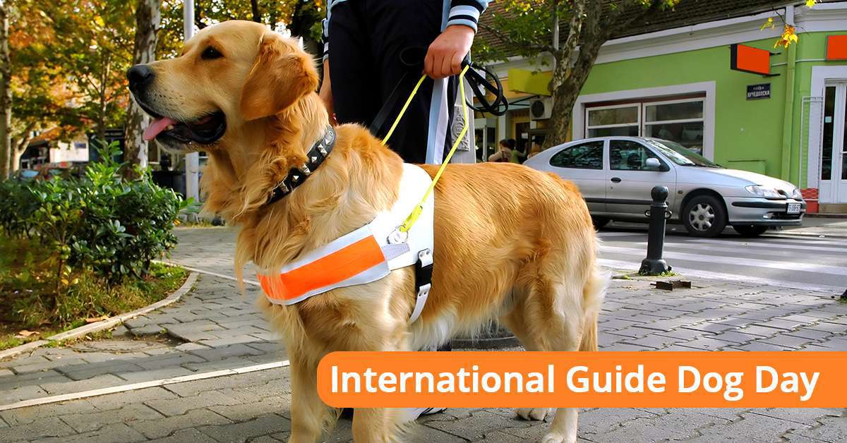 International Guide Dog Day Wishes Images