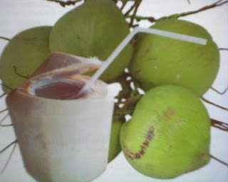 Minum Air Kelapa Hijau Banyak Manfaatnya Lho