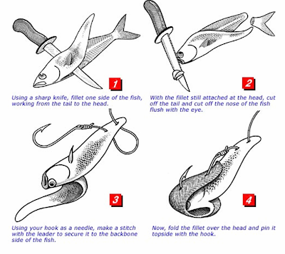 fishing knots and rigs. rig knots Great additions