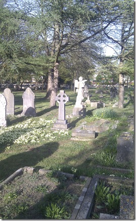 IMAG0870