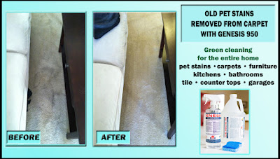 best Pet Urine remover