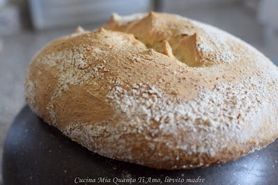 Pane con tutta farina di farro e lievito madre