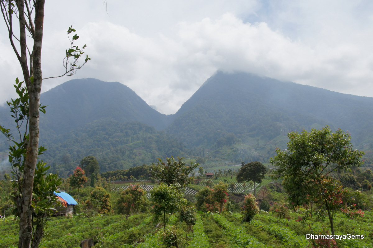 Magical Sumatra and Java: Kerinci Seblat National ParkKajo Aro