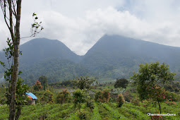 Lake Gunung Tujuh of Jambi