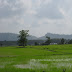 KAMPUNG PONDOK JAMBU MERAH