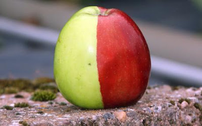 Half green Half red weird apple