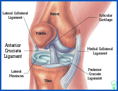 knee replacement