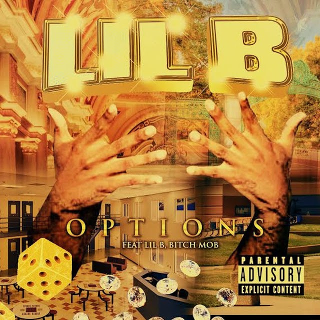 Lil B - Options [iTunes Plus AAC M4A]