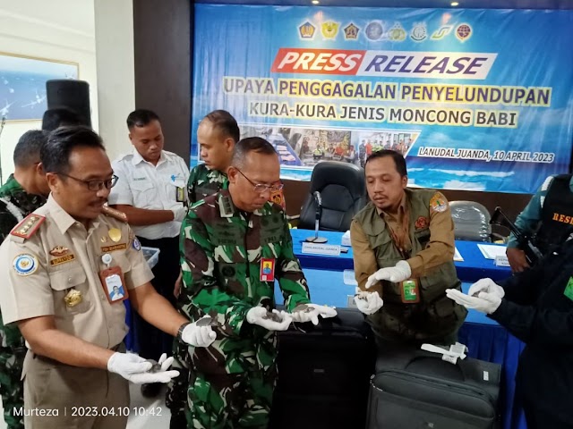 KKP-TNI AL Gagalkan Penyelundupan 5.632 Labi-labi Moncong Babi ke Vietnam