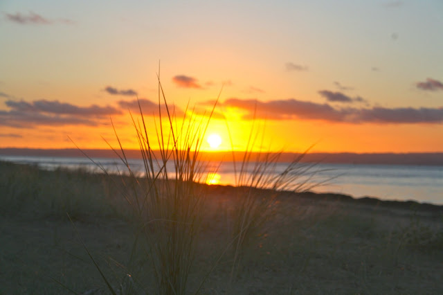 Beaches and boardwalks  of  Phillip Island 