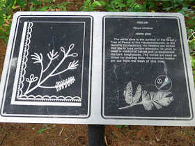 white pine interpretive sign Seneca Nation