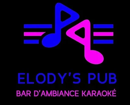 elody's pub karaoke lyon