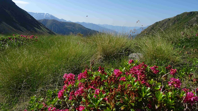 Hiking in Vallecamonica - Varadega