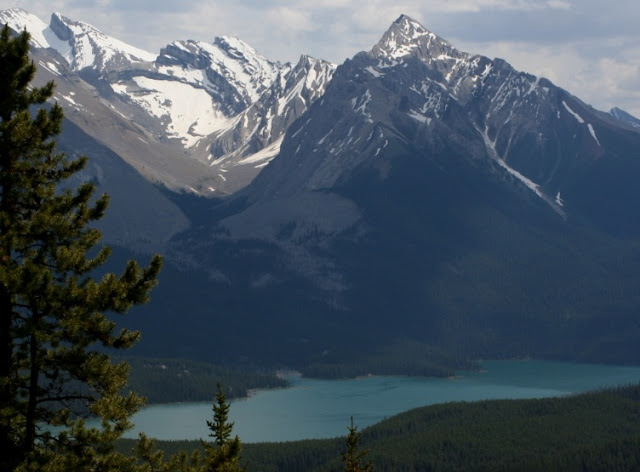 Bald Hills (Parque Nacional Jasper)