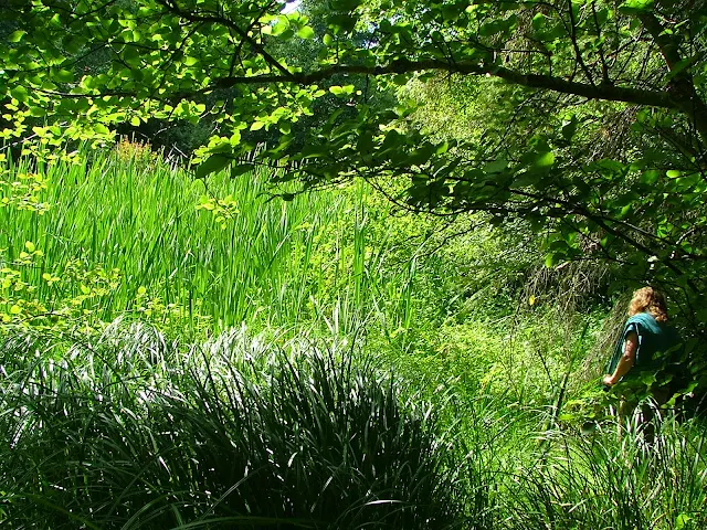 Matia Island trail near hermits cabin location